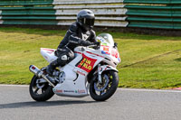 Lower Group White Bikes